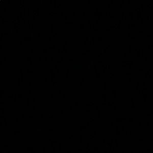 Meet your Posher, Karina